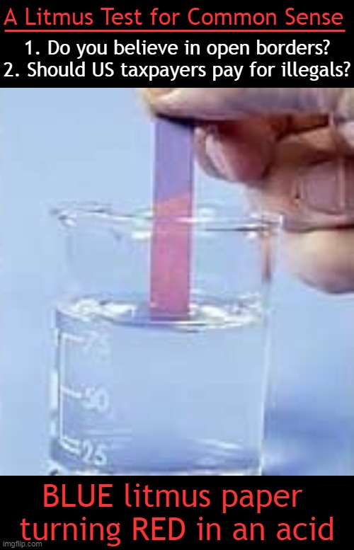 Follow the Science, Democrats! | A Litmus Test for Common Sense; ___________________________; 1. Do you believe in open borders?
2. Should US taxpayers pay for illegals? BLUE litmus paper 
turning RED in an acid | image tagged in open borders,sovereignty,iq,common sense,dr fauci,liberals vs conservatives | made w/ Imgflip meme maker