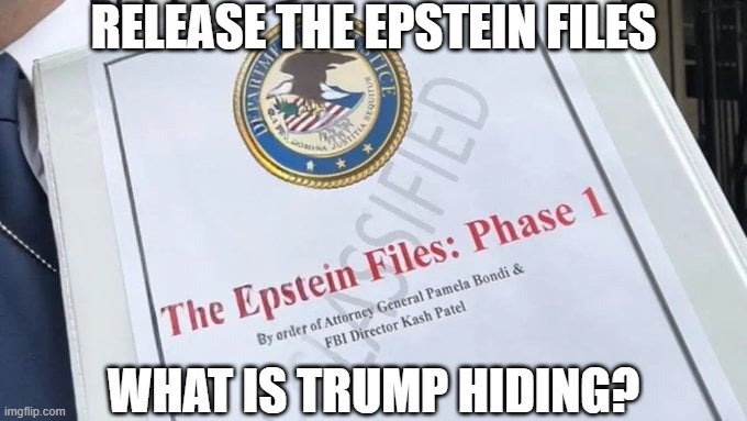 Epstein Files | RELEASE THE EPSTEIN FILES WHAT IS TRUMP HIDING? | image tagged in epstein files | made w/ Imgflip meme maker