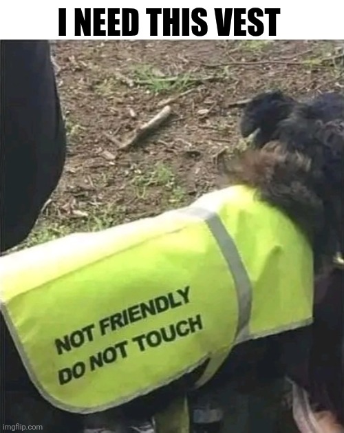 I Need This Vest | I NEED THIS VEST | image tagged in chris joines | made w/ Imgflip meme maker