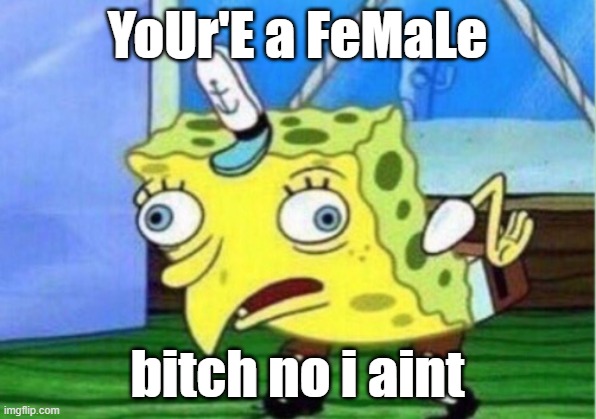 Mocking Spongebob Meme | YoUr'E a FeMaLe; bitch no i aint | image tagged in memes,mocking spongebob | made w/ Imgflip meme maker