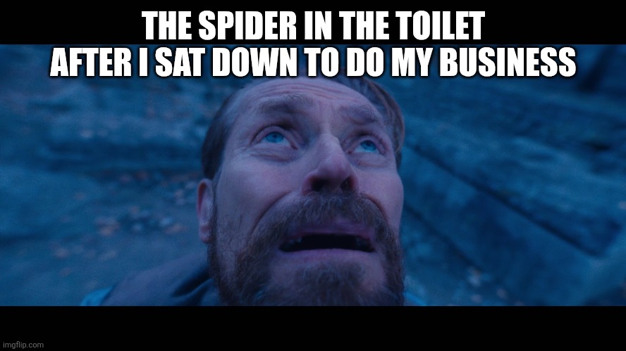 willem dafoe looking up | THE SPIDER IN THE TOILET AFTER I SAT DOWN TO DO MY BUSINESS | image tagged in willem dafoe looking up,spider,toilet,memes,the end is near | made w/ Imgflip meme maker