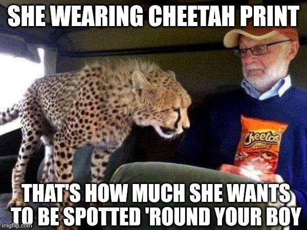 Old Man Vanilla Beard | SHE WEARING CHEETAH PRINT; THAT'S HOW MUCH SHE WANTS TO BE SPOTTED 'ROUND YOUR BOY | image tagged in leonardo dicaprio cheers,cheetah,i should buy a boat cat,cute cat | made w/ Imgflip meme maker