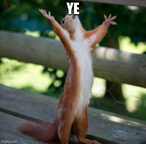 finally | YE | image tagged in finally | made w/ Imgflip meme maker