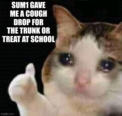 Image Title | SUM1 GAVE ME A COUGH DROP FOR THE TRUNK OR TREAT AT SCHOOL | image tagged in sad thumbs up cat,funny,relatable,halloween,bad candy,ts pmo | made w/ Imgflip meme maker