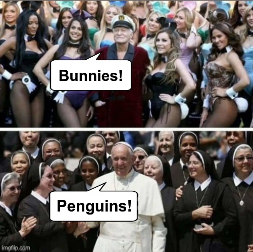 Bunnies vs. Penguins | Bunnies! Penguins! | image tagged in catholicism | made w/ Imgflip meme maker