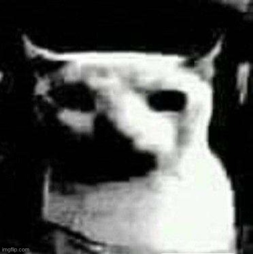 Uncanny Cat | image tagged in uncanny cat | made w/ Imgflip meme maker