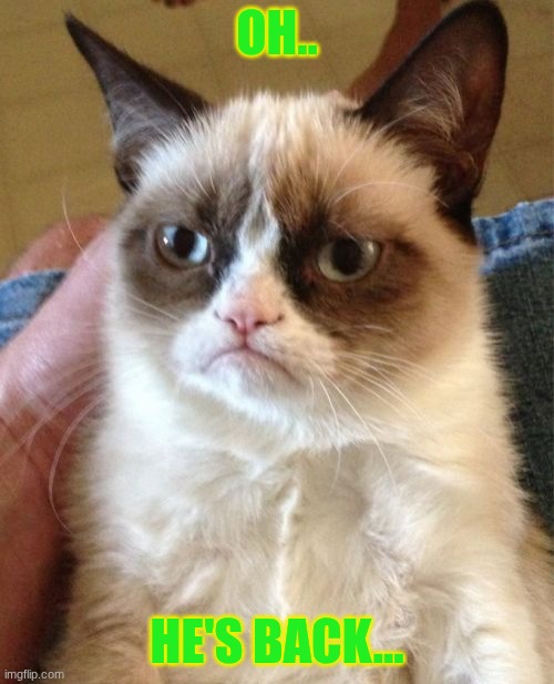 That's right! | OH.. HE'S BACK... | image tagged in memes,grumpy cat | made w/ Imgflip meme maker
