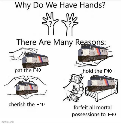 Do it | F40; F40; F40; F40 | image tagged in why do we have hands all blank | made w/ Imgflip meme maker