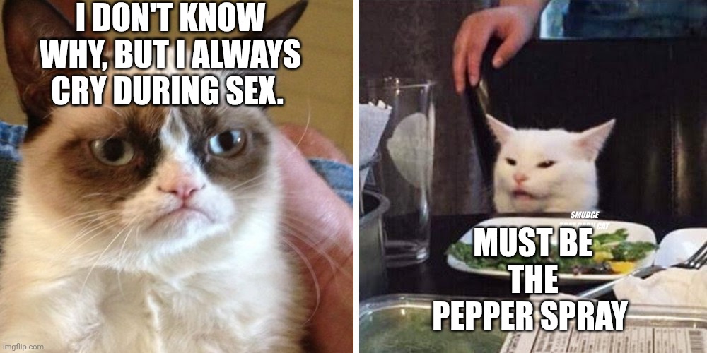 Smudge that darn cat with Karen | I DON'T KNOW WHY, BUT I ALWAYS CRY DURING SEX. MUST BE THE PEPPER SPRAY | image tagged in smudge that darn cat with karen | made w/ Imgflip meme maker