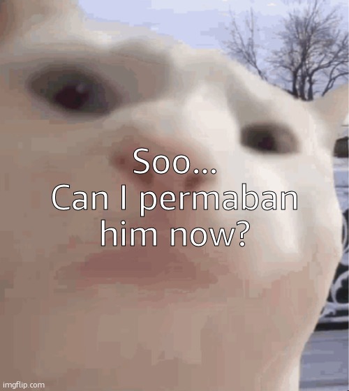 TOAA, I mean. | Soo... Can I permaban him now? | image tagged in i showed you my,ralsei of topic | made w/ Imgflip meme maker