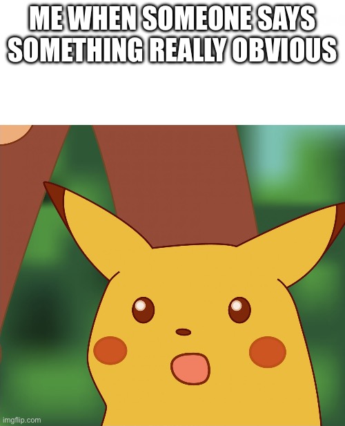 No shart bro | ME WHEN SOMEONE SAYS SOMETHING REALLY OBVIOUS | image tagged in surprised pikachu high quality | made w/ Imgflip meme maker