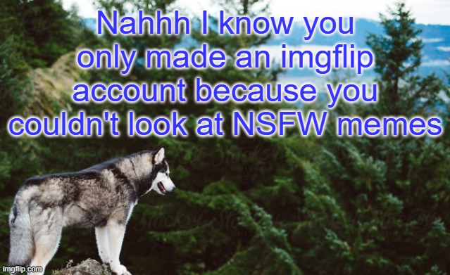 Not me | Nahhh I know you only made an imgflip account because you couldn't look at NSFW memes | image tagged in husky | made w/ Imgflip meme maker
