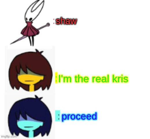 I made this, please use it if you would like to | shaw; I'm the real kris; proceed | image tagged in hornet kris kris chat,deltarune | made w/ Imgflip meme maker