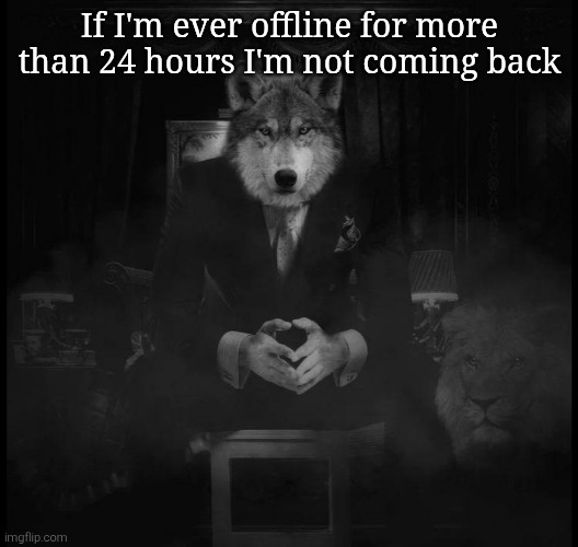 Not elaborating | If I'm ever offline for more than 24 hours I'm not coming back | image tagged in wolf on a chair | made w/ Imgflip meme maker