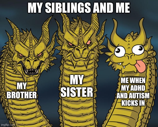 Three-headed Dragon | MY SIBLINGS AND ME; MY SISTER; ME WHEN MY ADHD AND AUTISM KICKS IN; MY BROTHER | image tagged in three-headed dragon | made w/ Imgflip meme maker