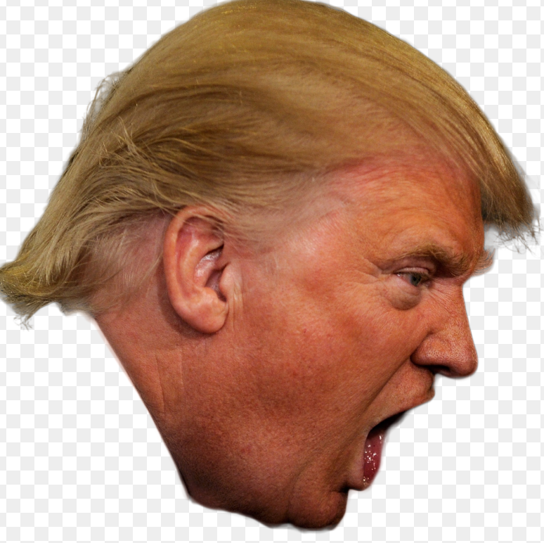 Trump's head PNG Blank Meme Template