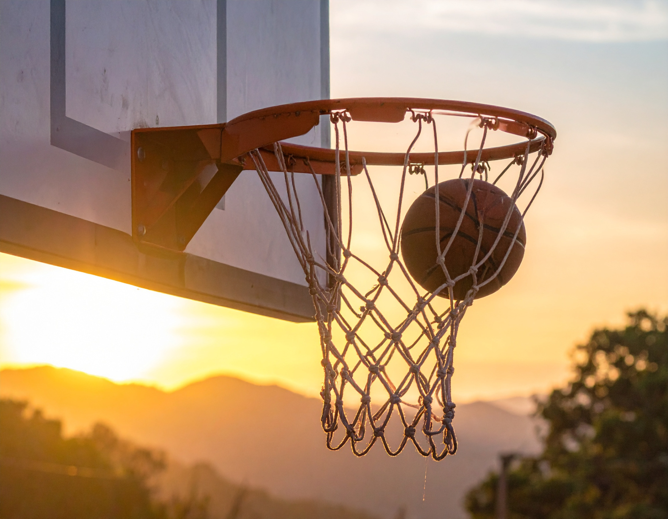 basketttttttttttttttttttt Blank Meme Template