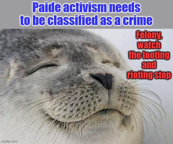Satisfied Seal | Paide activism needs to be classified as a crime; Felony, watch the looting and rioting stop | image tagged in memes,satisfied seal | made w/ Imgflip meme maker
