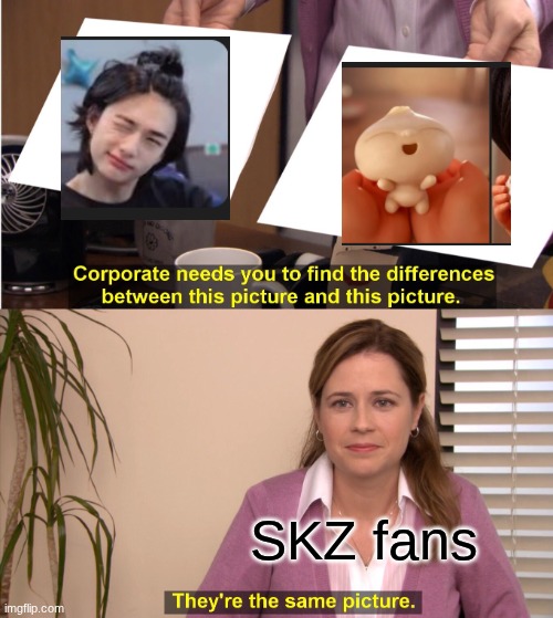 They're The Same Picture | SKZ fans | image tagged in memes,they're the same picture | made w/ Imgflip meme maker