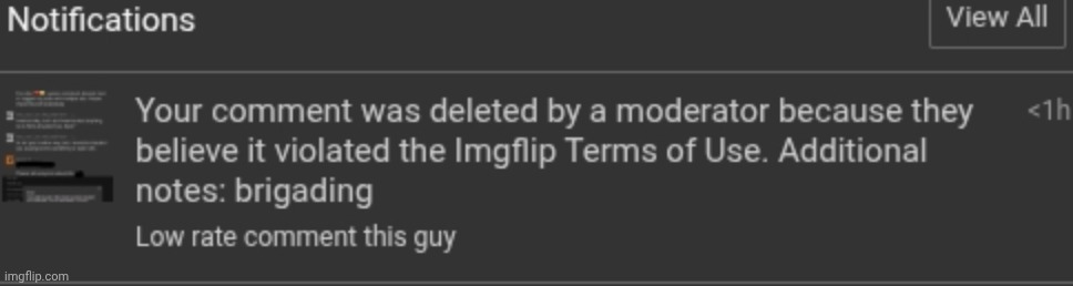 Ok 2 hour comment ban for "brigading" is a bit much. The reason I remember was valid :sigh: | made w/ Imgflip meme maker