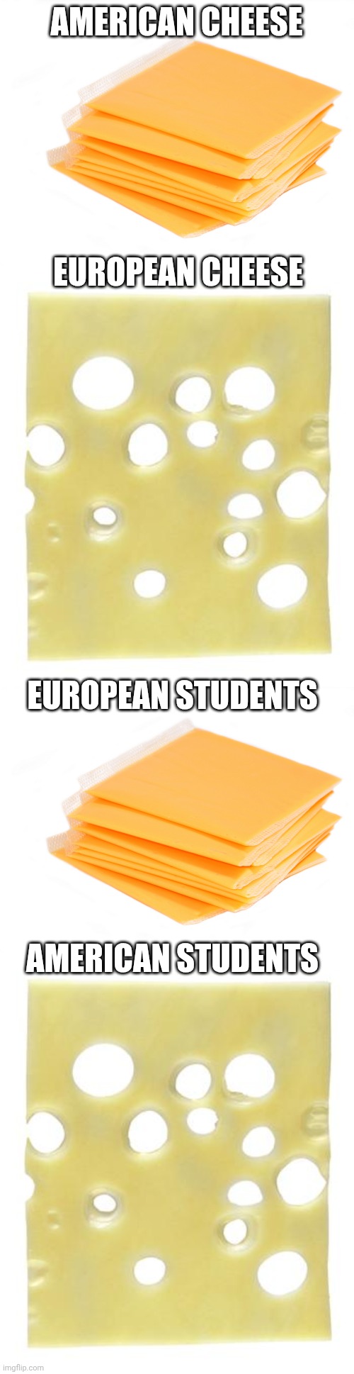 Logic | AMERICAN CHEESE; EUROPEAN CHEESE; EUROPEAN STUDENTS; AMERICAN STUDENTS | image tagged in american cheese,swiss cheese | made w/ Imgflip meme maker