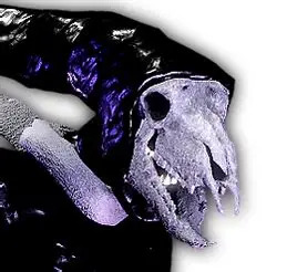 A01 Blank Meme Template