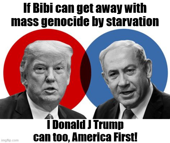 Follow the genocidal leader | If Bibi can get away with mass genocide by starvation; I Donald J Trump can too, America First! | image tagged in follow the genocidal leader,snap cut,derliction of duty,humane rights offenders,maga mass murder | made w/ Imgflip meme maker