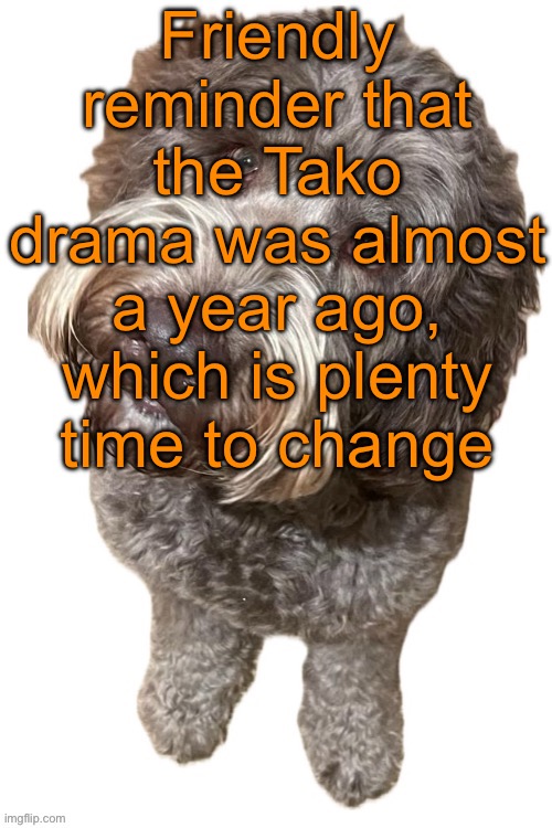 Let’s just see how all of this goes | Friendly reminder that the Tako drama was almost a year ago, which is plenty time to change | image tagged in norther's dog | made w/ Imgflip meme maker