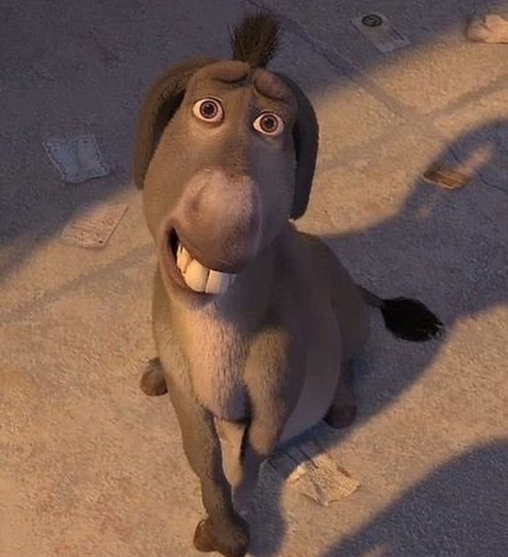 Sad donkey Blank Meme Template