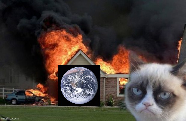 Burn Kitty | image tagged in memes,burn kitty,grumpy cat | made w/ Imgflip meme maker