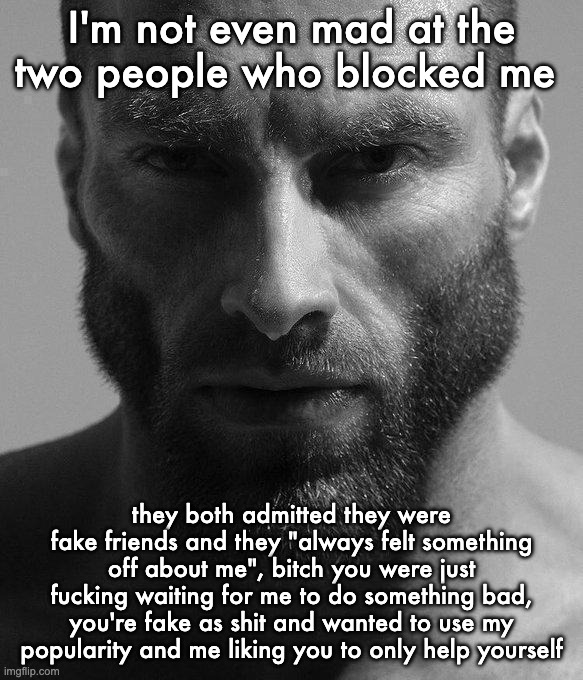 and I'd rather be an honest asshole than a dishonest "friend" | I'm not even mad at the two people who blocked me; they both admitted they were fake friends and they "always felt something off about me", bitch you were just fucking waiting for me to do something bad, you're fake as shit and wanted to use my popularity and me liking you to only help yourself | image tagged in gigachad staring | made w/ Imgflip meme maker
