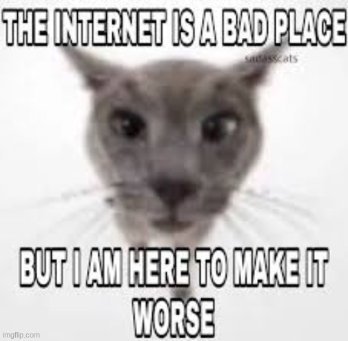 tako: | made w/ Imgflip meme maker