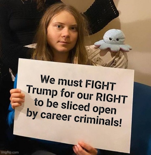 democrats doing whatever it takes to keep the most possible criminals out on the streets | We must FIGHT
Trump for our RIGHT
to be sliced open
by career criminals! | image tagged in greta thunberg sign,memes,sanctuary cities,democrats,crime,trump derangement syndrome | made w/ Imgflip meme maker
