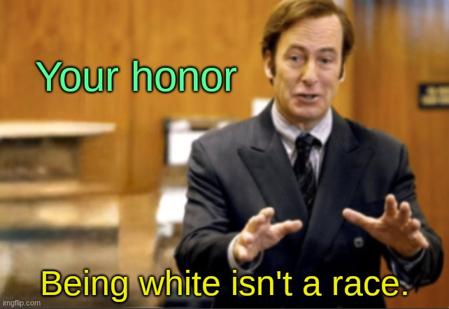 . | Your honor; Being white isn't a race. | image tagged in saul goodman defending | made w/ Imgflip meme maker