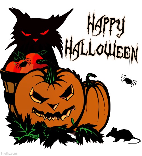 It’s spooky time… | image tagged in cats,halloween,jack o lantern,spider,spooky,black cat | made w/ Imgflip meme maker