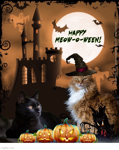 Happy Meow-o-Ween! | image tagged in cats,halloween,meow o ween,black cat,spooky | made w/ Imgflip meme maker