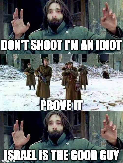 Don't shoot | DON'T SHOOT I'M AN IDIOT; PROVE IT; ISRAEL IS THE GOOD GUY | image tagged in don't shoot | made w/ Imgflip meme maker
