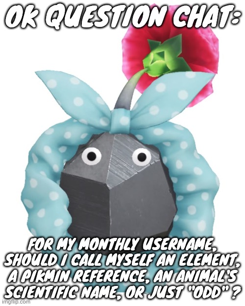 Scrunchie rock pikmin | OK QUESTION CHAT:; FOR MY MONTHLY USERNAME, SHOULD I CALL MYSELF AN ELEMENT, A PIKMIN REFERENCE, AN ANIMAL'S SCIENTIFIC NAME, OR JUST "ODD" ? | image tagged in scrunchie rock pikmin | made w/ Imgflip meme maker