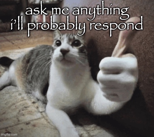 ama | ask me anything i’ll probably respond | image tagged in cat thumbs up | made w/ Imgflip meme maker