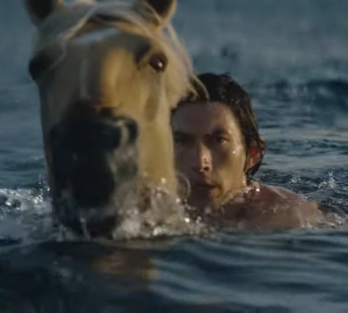 Horse Cologne Meme Blank Meme Template