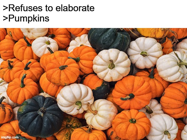Pumpkin | >Refuses to elaborate
>Pumpkins | image tagged in memes,pumpkin | made w/ Imgflip meme maker