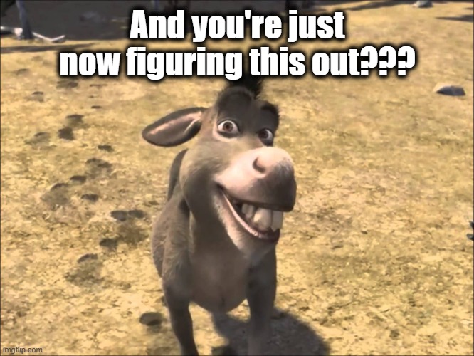 Donkey Shrek | And you're just now figuring this out??? | image tagged in donkey shrek | made w/ Imgflip meme maker