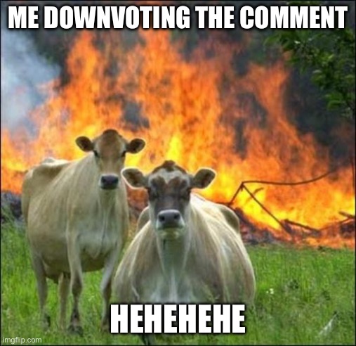 Evil Cows Meme | ME DOWNVOTING THE COMMENT HEHEHEHE | image tagged in memes,evil cows | made w/ Imgflip meme maker