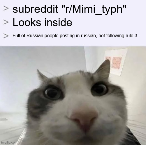 I swear they are ignoring rule 3. | subreddit "r/Mimi_typh"; Looks inside; Full of Russian people posting in russian, not following rule 3. | image tagged in greentext 'look inside' x meme,subreddits,reddit | made w/ Imgflip meme maker