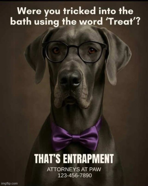 Legitimate gripe or not? :) | image tagged in bath,dog,animal rights,tricks,lawyers,treats | made w/ Imgflip meme maker