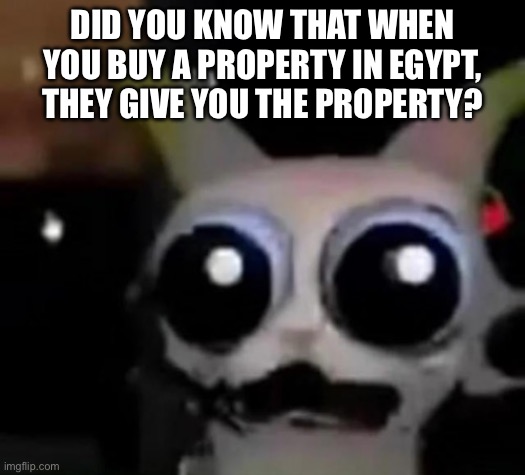 Valuable information | DID YOU KNOW THAT WHEN YOU BUY A PROPERTY IN EGYPT, THEY GIVE YOU THE PROPERTY? | image tagged in scared car | made w/ Imgflip meme maker