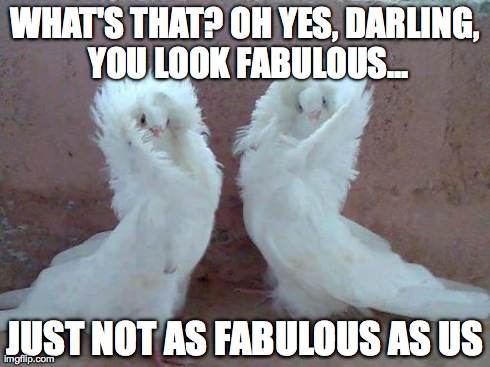 fabulous | WHAT'S THAT? OH YES, DARLING, YOU LOOK FABULOUS... JUST NOT AS FABULOUS AS US | image tagged in fabulous,fashion,handsome,gorgeous,pigeons | made w/ Imgflip meme maker