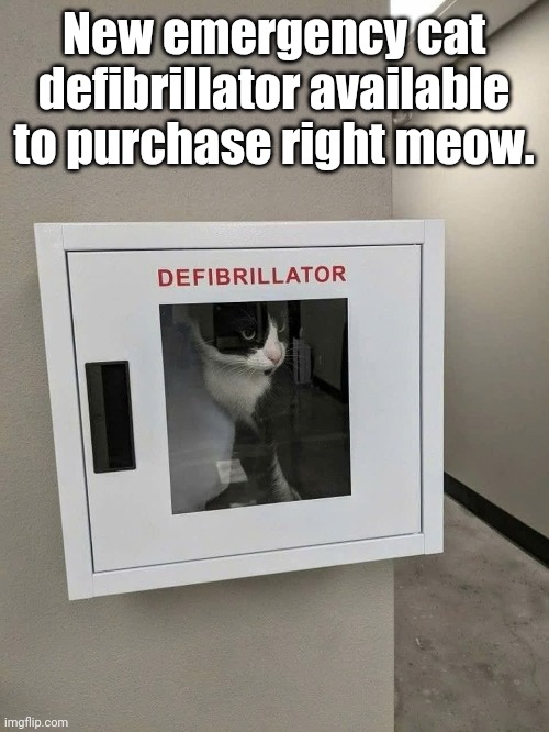 Device is perfect for CATistrophic heart failure. | New emergency cat defibrillator available to purchase right meow. | image tagged in memes,cats | made w/ Imgflip meme maker