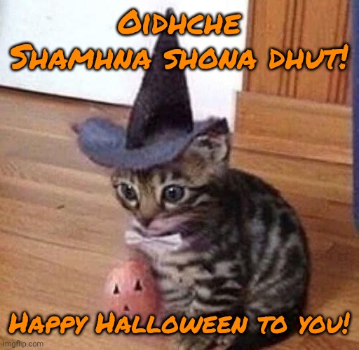 Happy Halloween! | Oidhche Shamhna shona dhut! Happy Halloween to you! | image tagged in memez | made w/ Imgflip meme maker