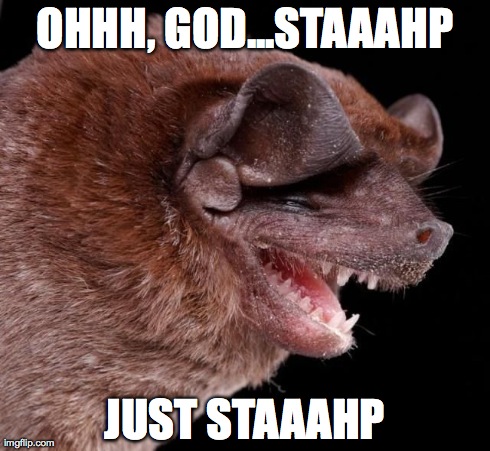 just stop | OHHH, GOD...STAAAHP JUST STAAAHP | image tagged in laughing bat,bats,hilarious,too funny,just stop | made w/ Imgflip meme maker